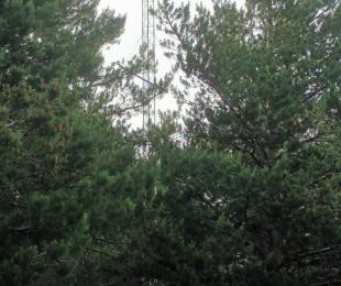 MUP nº 243 Valtablado