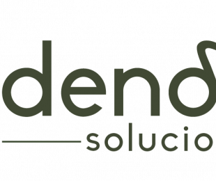 Dendron soluciones