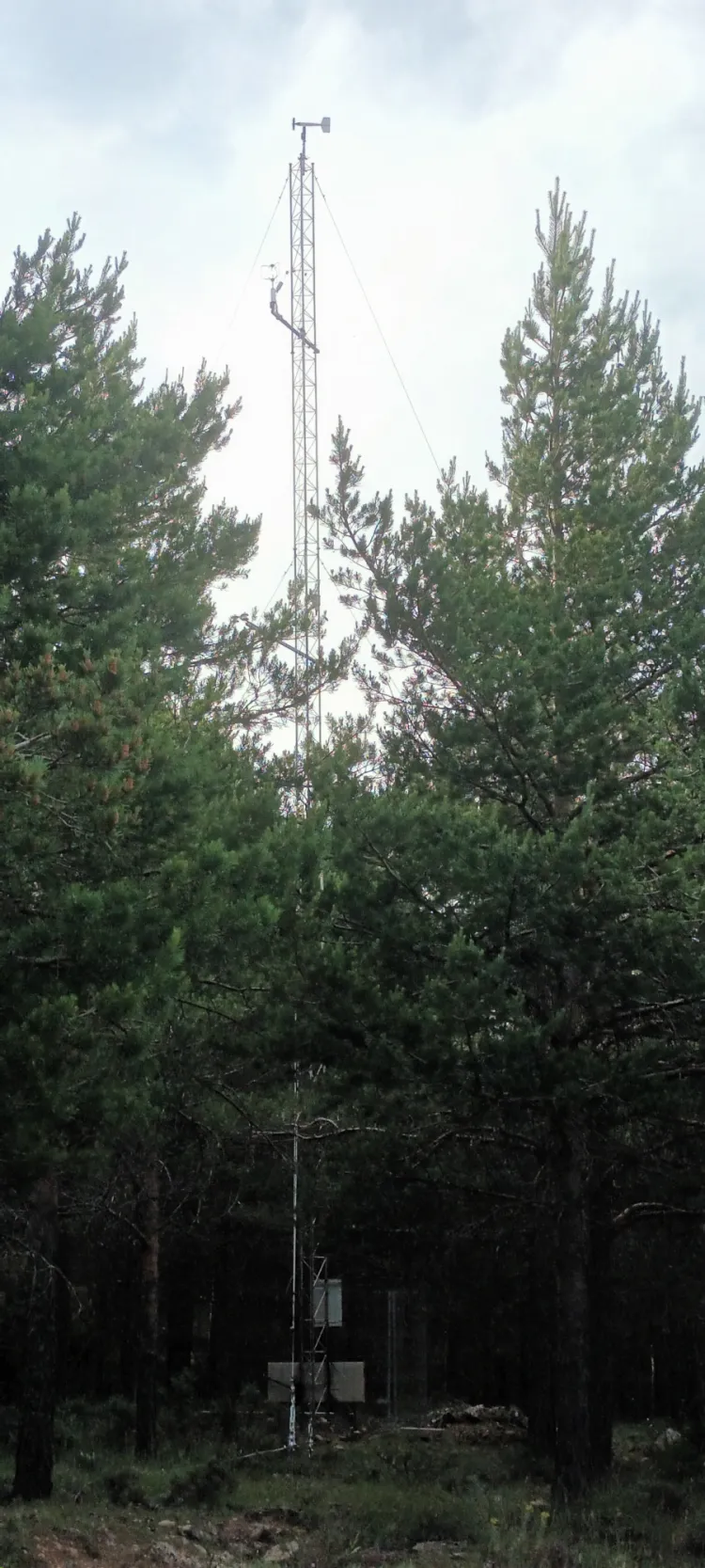 MUP nº 243 Valtablado